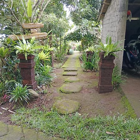 Bali Mountain Forest Cabin Penebel Zewnętrze zdjęcie