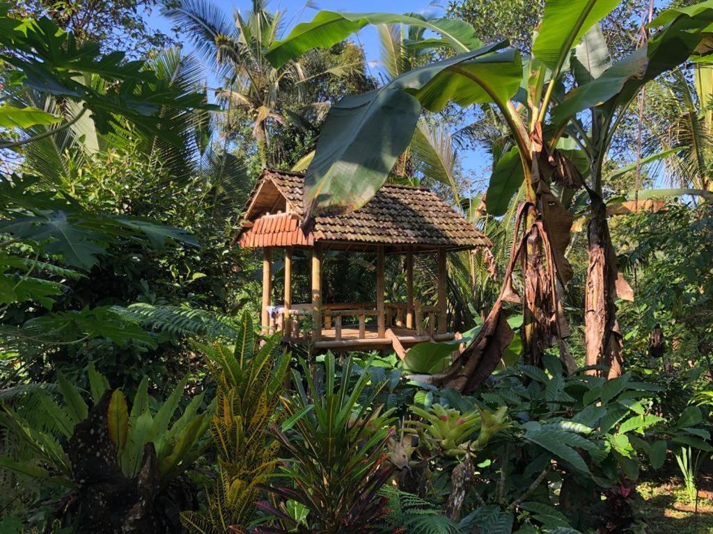 Bali Mountain Forest Cabin Penebel Zewnętrze zdjęcie