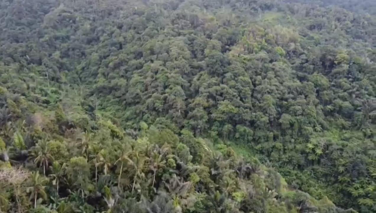 Bali Mountain Forest Cabin Penebel Zewnętrze zdjęcie