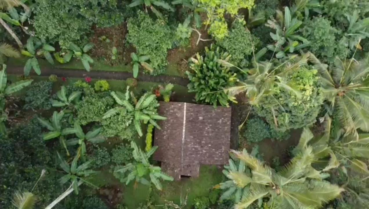 Bali Mountain Forest Cabin Penebel Pokój zdjęcie