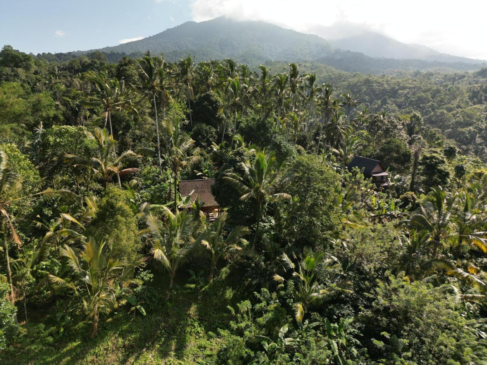 Bali Mountain Forest Cabin Penebel Pokój zdjęcie