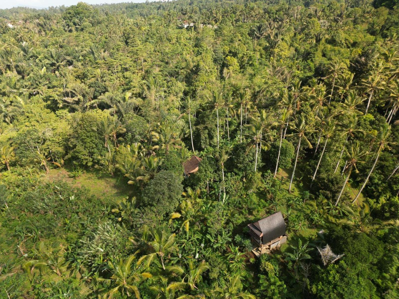 Bali Mountain Forest Cabin Penebel Pokój zdjęcie