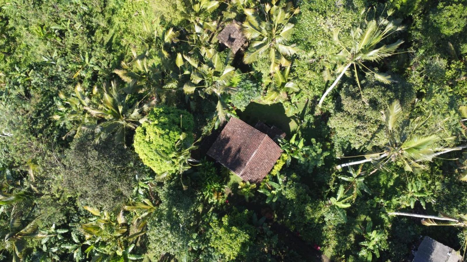 Bali Mountain Forest Cabin Penebel Pokój zdjęcie