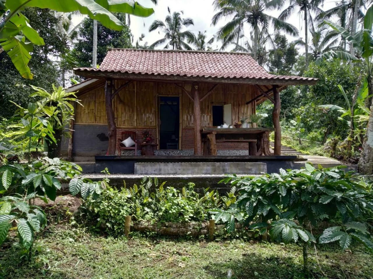Bali Mountain Forest Cabin Penebel Zewnętrze zdjęcie