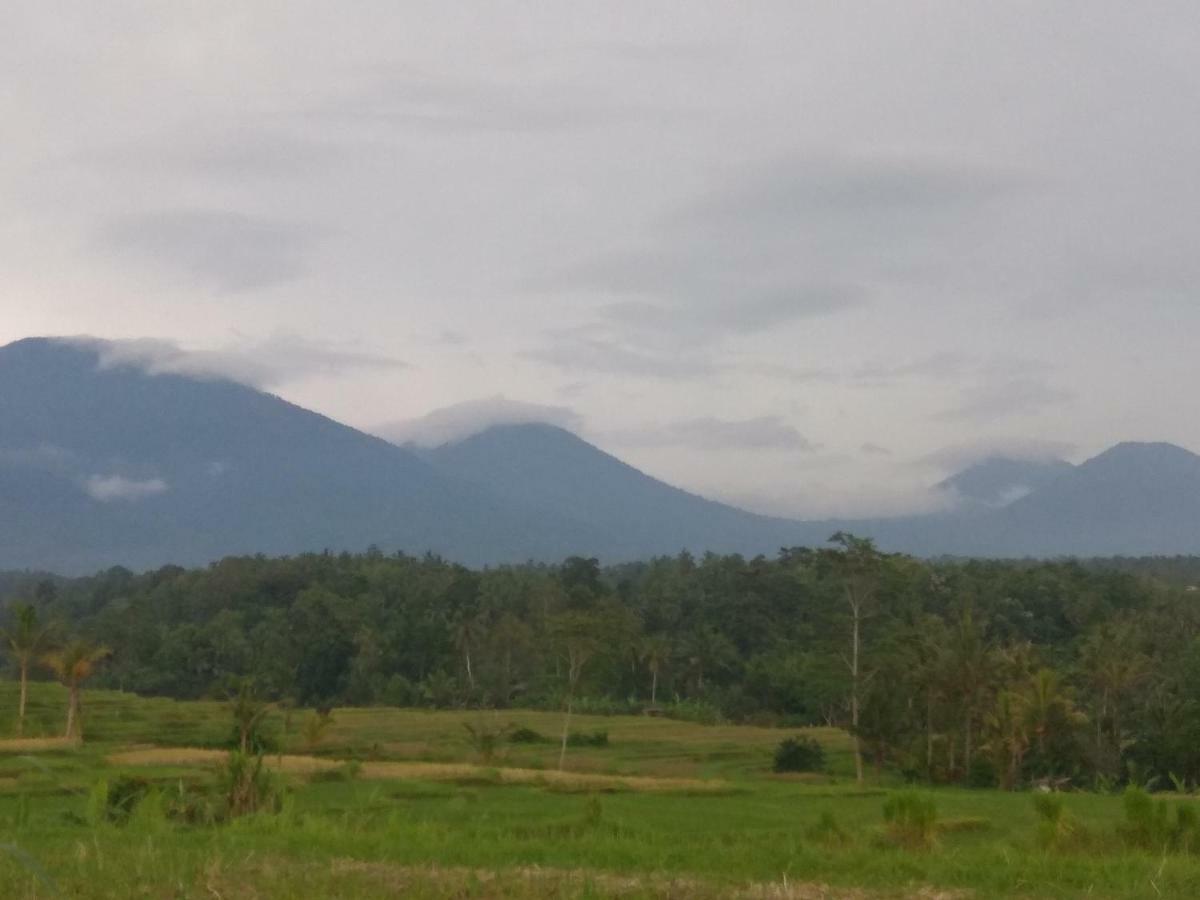 Bali Mountain Forest Cabin Penebel Zewnętrze zdjęcie