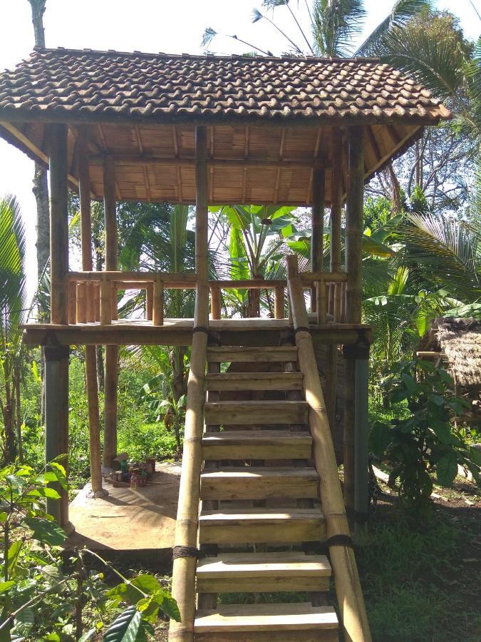 Bali Mountain Forest Cabin Penebel Pokój zdjęcie